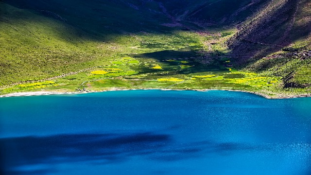 拼多多补单软件