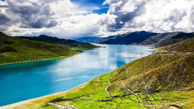 拼多多补单软件