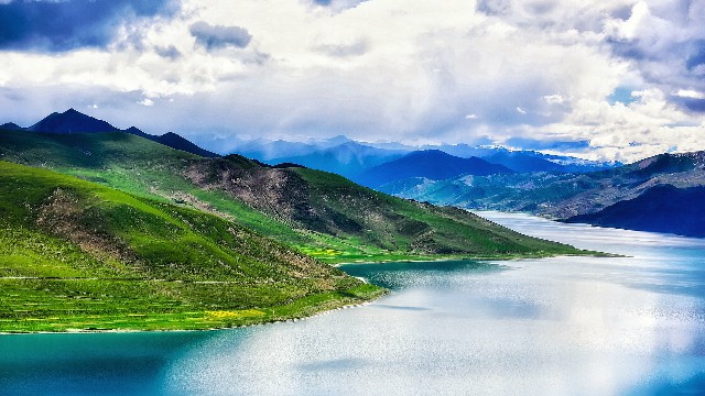 拼多多补单软件