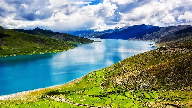 拼多多补单软件