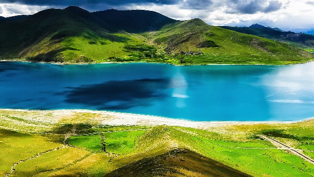 拼多多补单软件