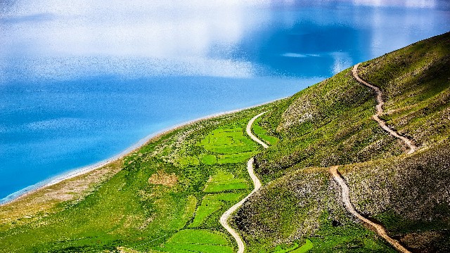 拼多多补单软件