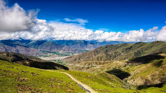 拼多多补单软件