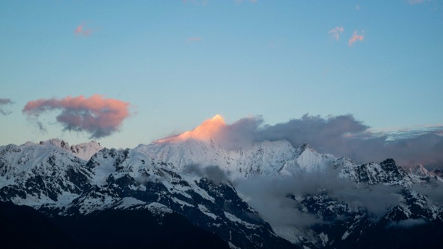 拼多多补单软件