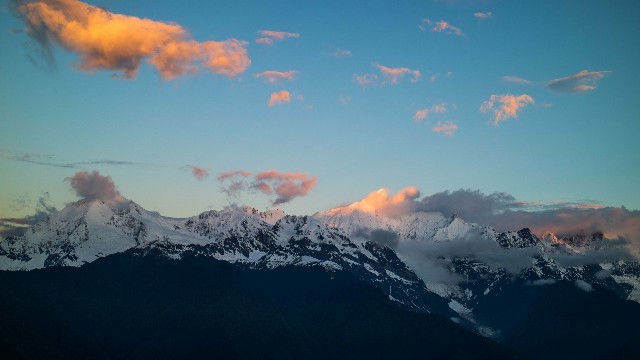 拼多多补单软件
