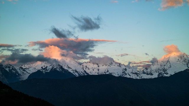 拼多多补单软件