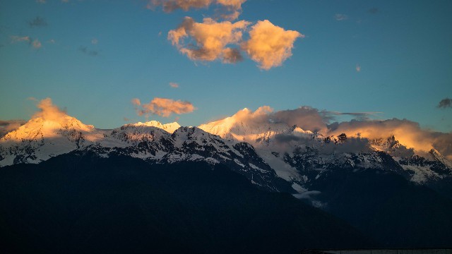 拼多多补单软件