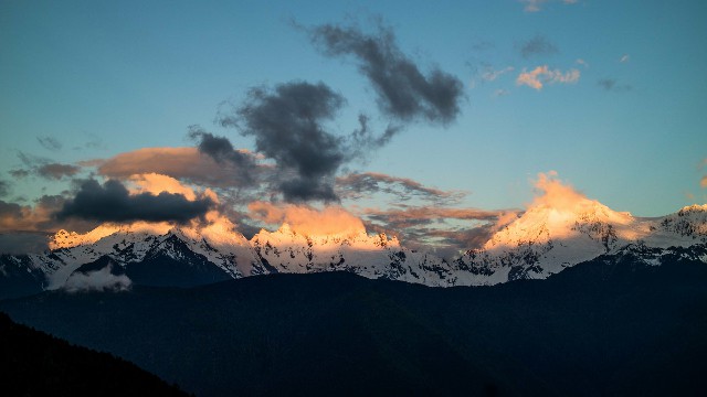 拼多多补单软件