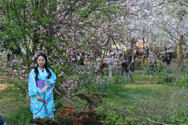 拼多多补单软件