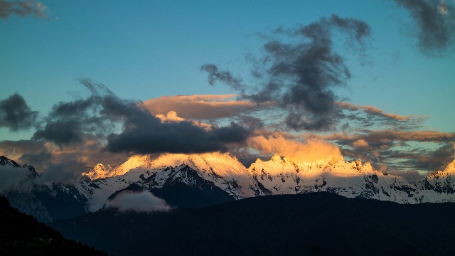 拼多多补单软件