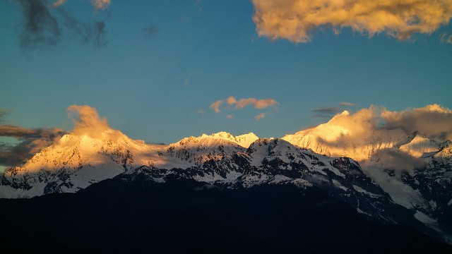 拼多多补单软件
