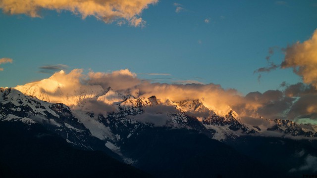 拼多多补单软件