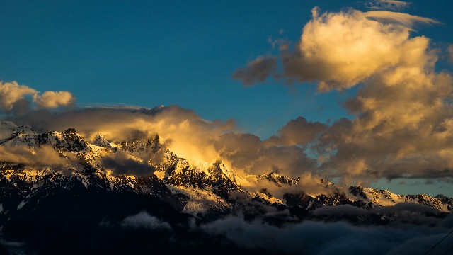 拼多多补单软件