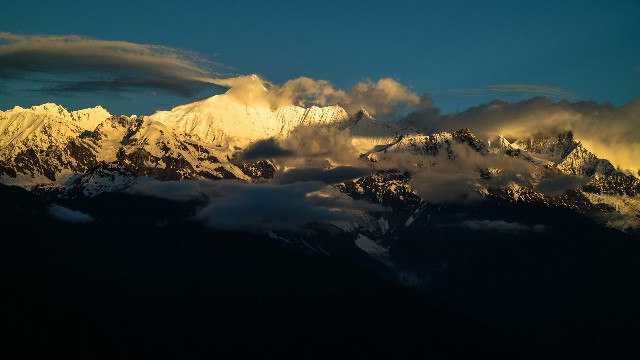 拼多多补单软件