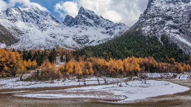 拼多多补单软件