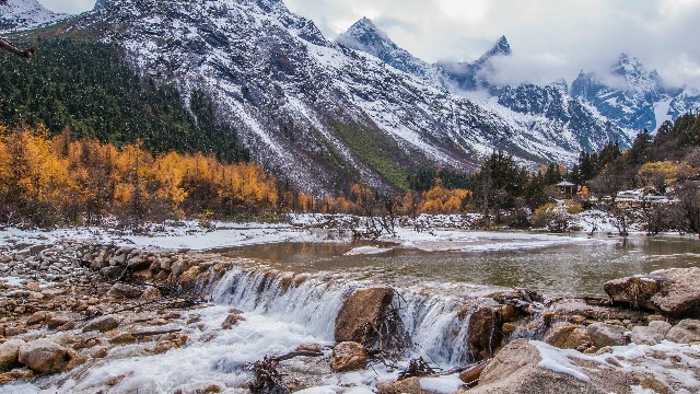 拼多多补单软件