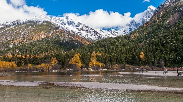 拼多多补单软件