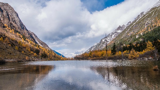 拼多多补单软件
