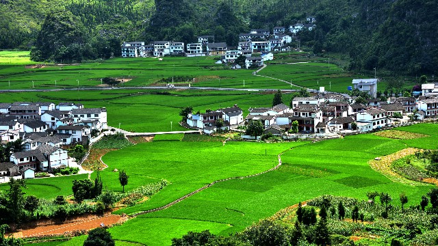 拼多多补单软件