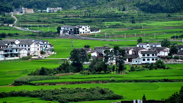 拼多多补单软件