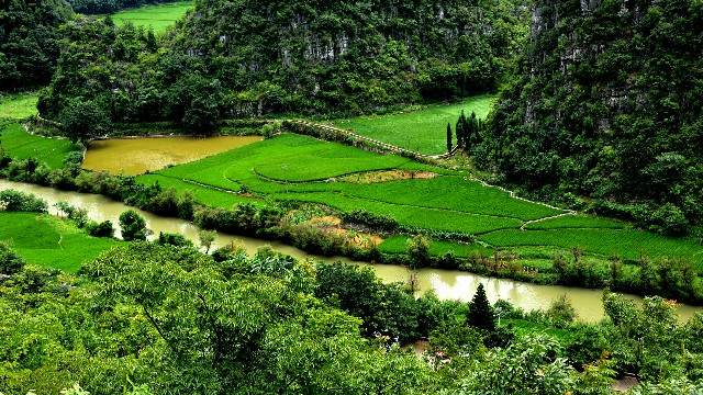 拼多多补单软件