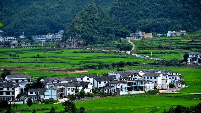 拼多多补单软件