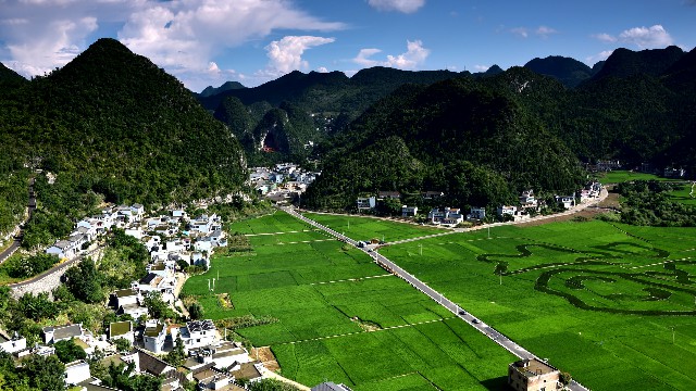 拼多多补单软件