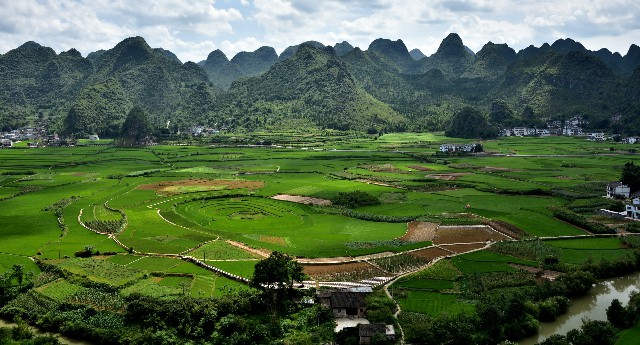 拼多多补单软件