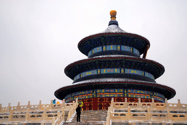 拼多多补单软件