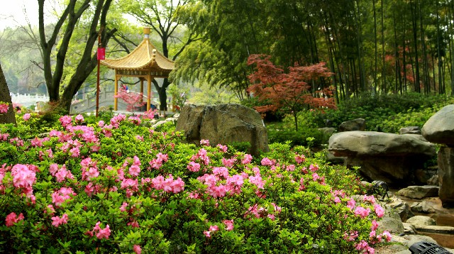 拼多多补单软件