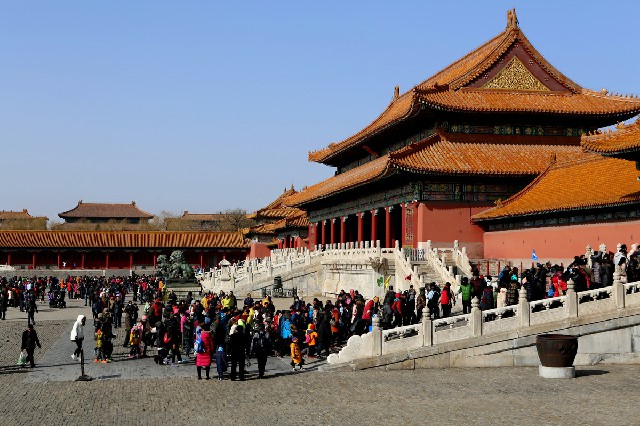 拼多多补单软件