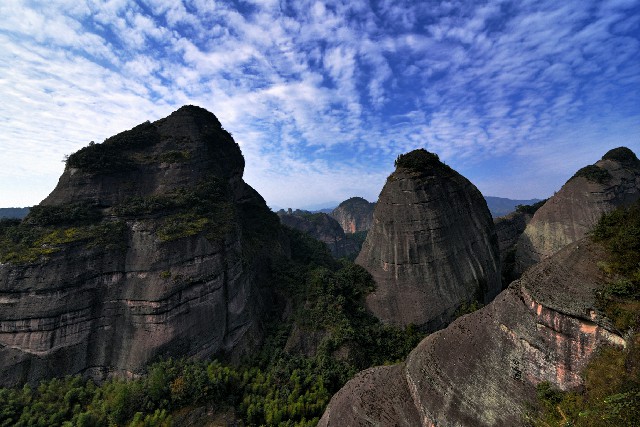 拼多多补单软件