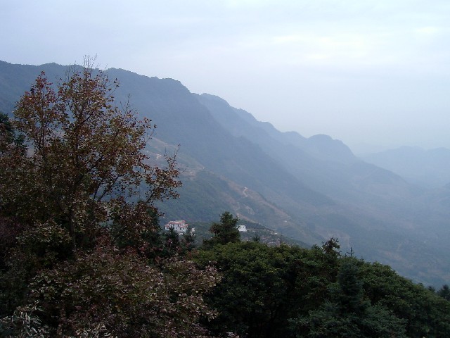 拼多多补单软件