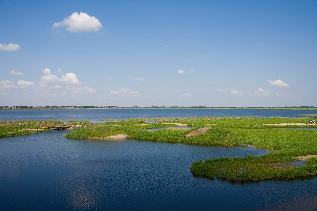 拼多多补单软件