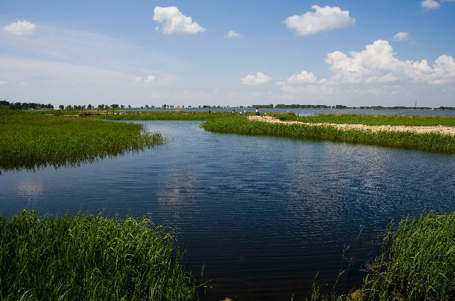 拼多多补单软件