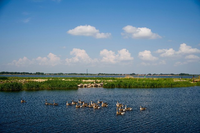 拼多多补单软件