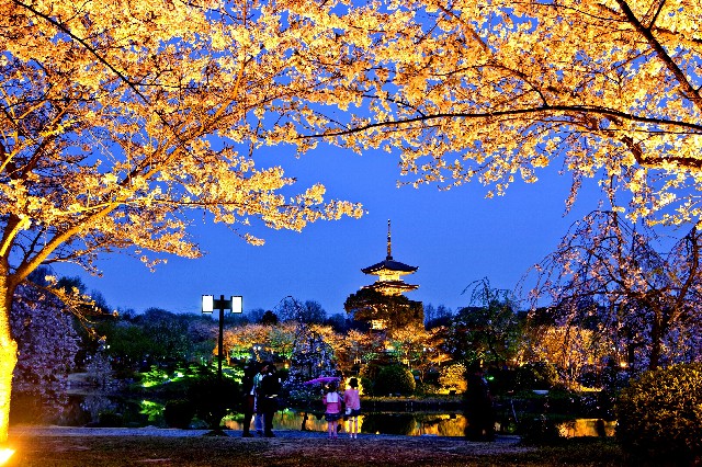 拼多多补单软件