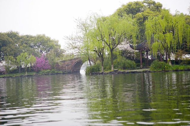 拼多多补单软件