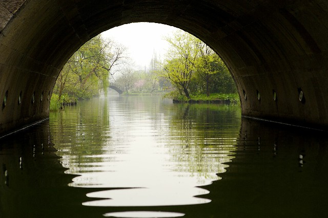 拼多多补单软件