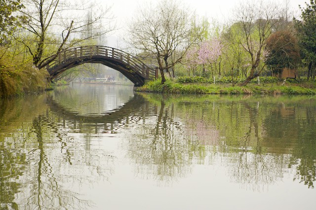 拼多多补单软件