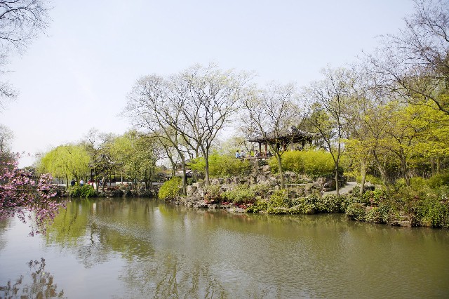 拼多多补单软件