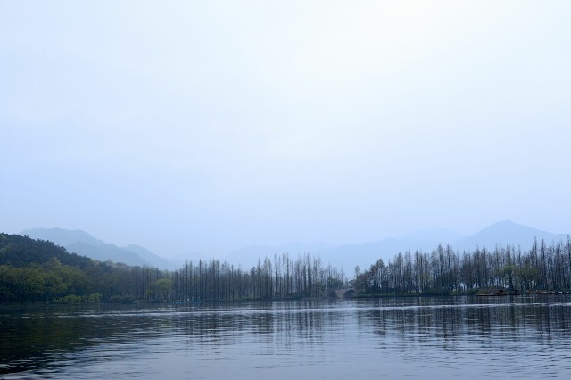 拼多多补单软件