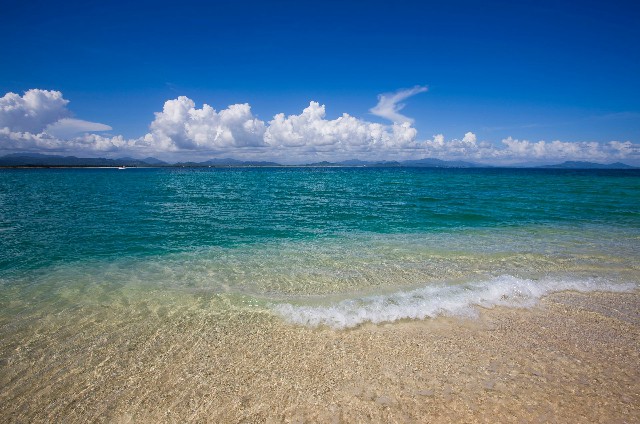 拼多多补单软件