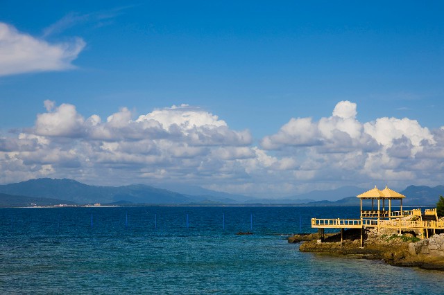 拼多多补单软件