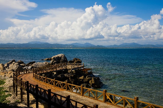 拼多多补单软件