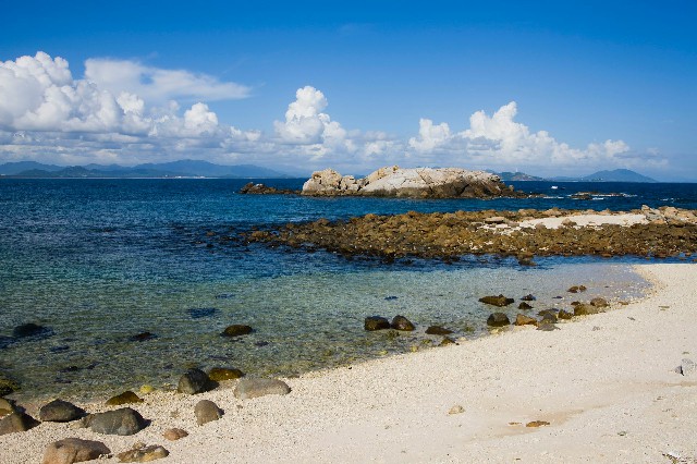 拼多多补单软件