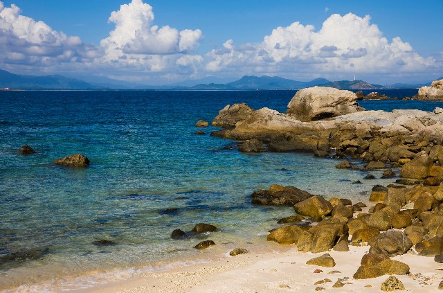 拼多多补单软件