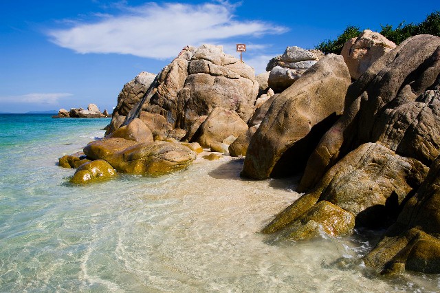 拼多多补单软件