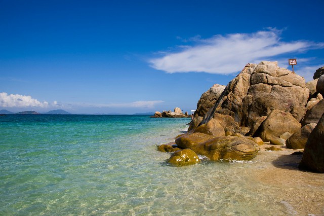 拼多多补单软件