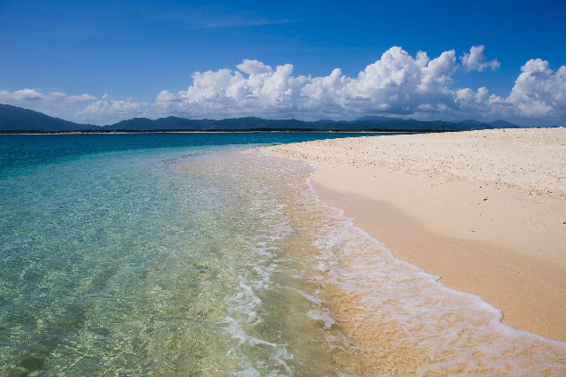 拼多多补单软件